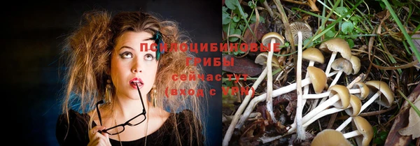 Альфа ПВП Белоозёрский