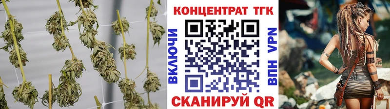 сколько стоит  Новоалександровск  даркнет состав  Дистиллят ТГК Wax 