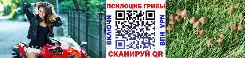 наркошоп  маркетплейс клад  Галлюциногенные грибы Magic Shrooms  Новоалександровск 
